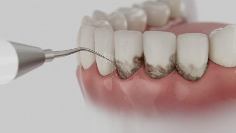Reliable Dental contractor in Lumberton, TX by Dentist Open Now